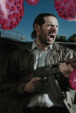Poster de la película Nikko – Pandépico