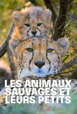 Poster de la serie Tierkinder der Wildnis