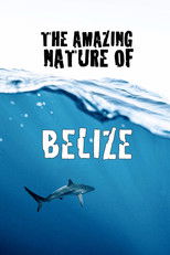 Poster de la película The Amazing Nature of Belize