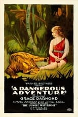 Poster de la película A Dangerous Adventure