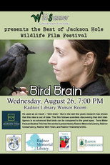 Poster de la película Bird Brain