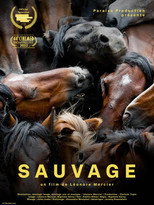 Poster de la película Sauvage