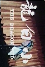 Poster de la película The Dragon Kid