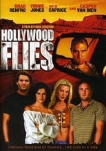 Poster de la película Hollywood Flies