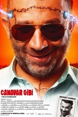 Poster de la película Canavar Gibi