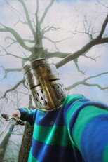 Poster de la película Perceval au Dour Festival 2026