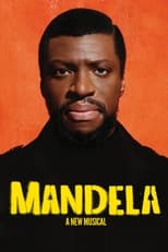 Poster de la película Mandela