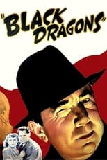 Poster de la película Black Dragons