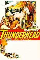 Poster de la película Thunderhead - Son of Flicka