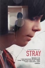 Poster de la película Stray