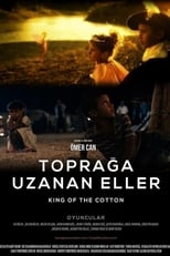 Poster de la película King of the Cotton