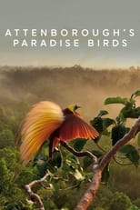 Poster de la película Attenborough's Paradise Birds