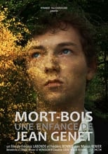 Poster de la película Mort-Bois, a Young Jean Genet