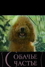 Poster de la película Dog's Happiness