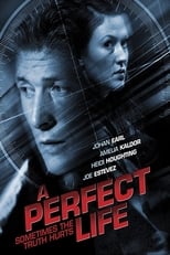 Poster de la película A Perfect Life