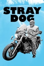 Poster de la película Stray Dog