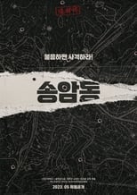 Poster de la película Songamdong