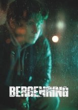 Poster de la película Bergenring