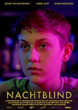 Poster de la película Nachtblind