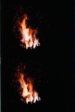 Poster de la película Fire