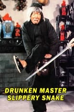 Poster de la película Mad Mad Kung Fu