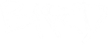 Logo Bird