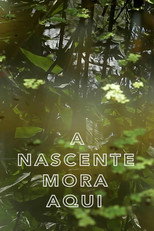 Poster de la película A Nascente Mora Aqui