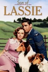 Poster de la película Son of Lassie