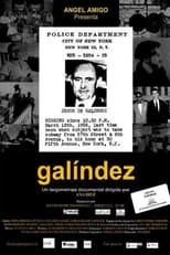 Poster de la película Galíndez