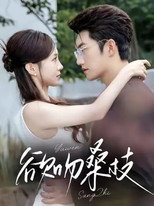 Poster de la serie 欲吻桑枝