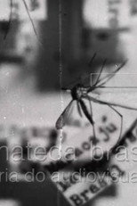 Poster de la película Febre Amarela II