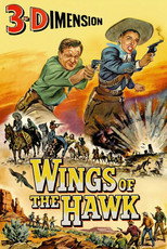 Poster de la película Wings of the Hawk