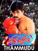 Poster de la película Thammudu