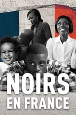 Poster de la película Noirs en France