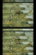 Poster de la película DIGITAL MATERIAL