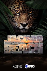 Poster de la película Jaguar Beach‎