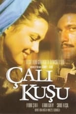 Poster de la serie Çalıkuşu