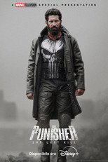 The Punisher: One Last Kill
