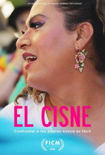 Poster de la película El Cisne