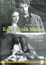 Poster de la película Gypsies