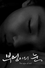 Poster de la película The Sight of Owl