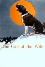 Poster de la película The Call of the Wild