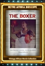Poster de la película The Boxer
