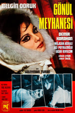 Poster de la película Gönül Meyhanesi