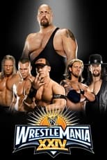 Poster de la película WWE WrestleMania XXIV