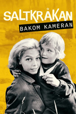 Poster de la película Saltkråkan - bakom kameran
