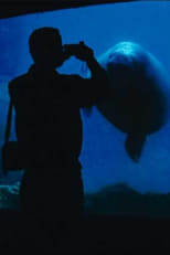 Poster de la película The Aquarium