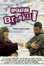 Poster de la película Liados