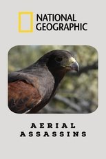 Poster de la película Aerial Assassins