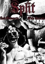 Poster de la película Split